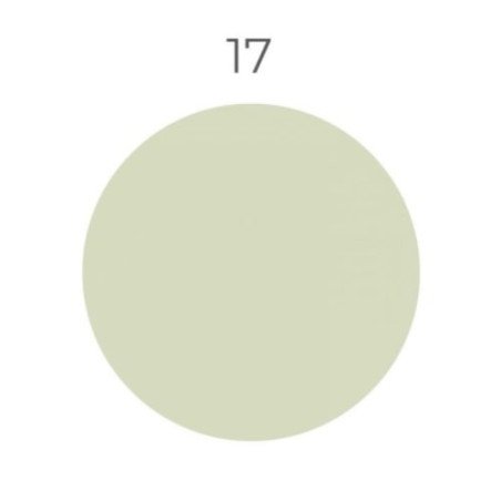 Silicone Color 17, 310 ml hermetikas silikoninis antipelėsinis