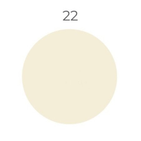 Silicone Color 22, 310 ml hermetikas silikoninis antipelėsinis