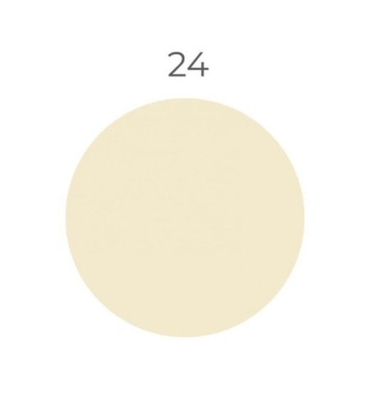 Silicone Color 24, 310 ml hermetikas silikoninis antipelėsinis