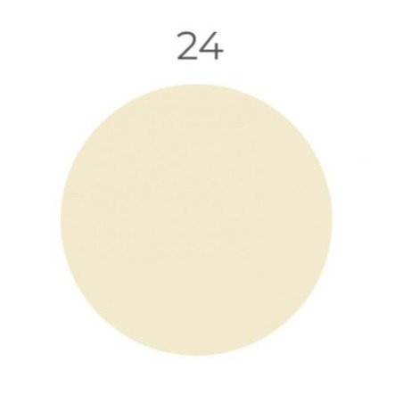 Silicone Color 24, 310 ml hermetikas silikoninis antipelėsinis