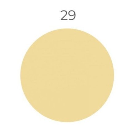 Silicone Color 29, 310 ml hermetikas silikoninis antipelėsinis
