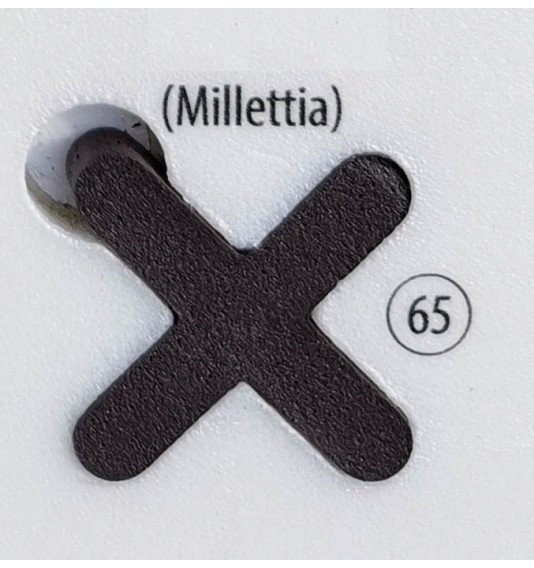 Fugalite Bio Parquet millett 65, 3 kg (A+B) epoksidinis glaistas medžio imitacijos plytelėms