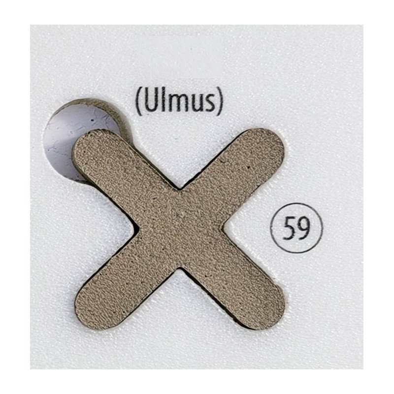 Fugalite Bio Parquet ulmus 59, 3 kg epoksidinis glaistas Fugalite Bio Parquet ulmus 59, 3 kg epoksidinis glaistas